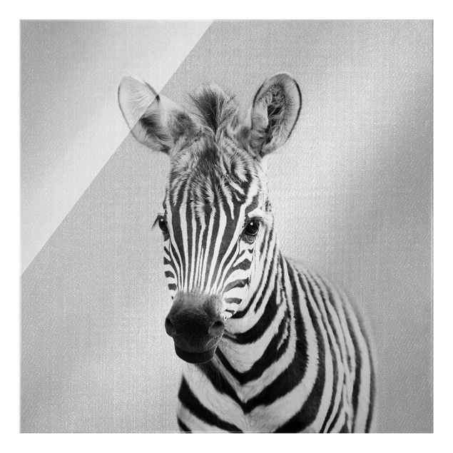 Glass print - Baby Zebra Zoey Black And White