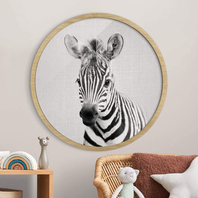 Framed prints round Baby Zebra Zoey Black And White