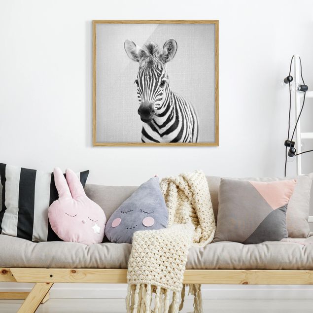 Framed poster - Baby Zebra Zoey Black And White