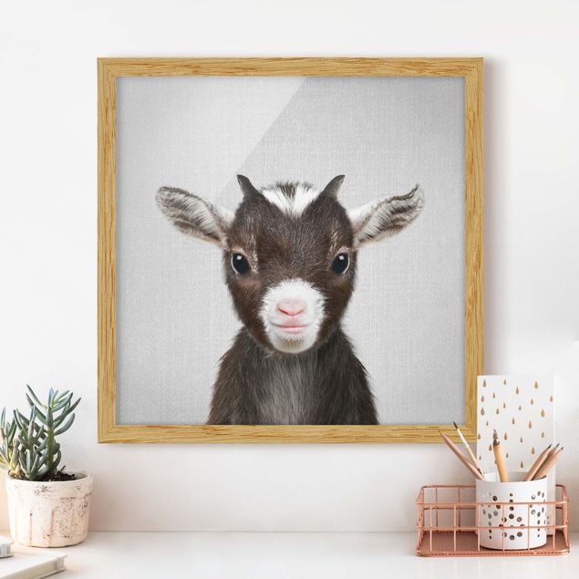 Framed poster - Baby Goat Zelda