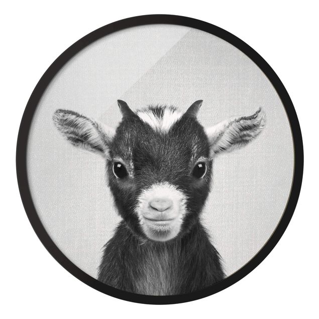 Circular framed print - Baby Goat Zelda Black And White