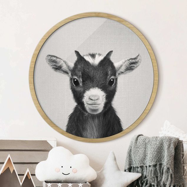 Framed prints round Baby Goat Zelda Black And White