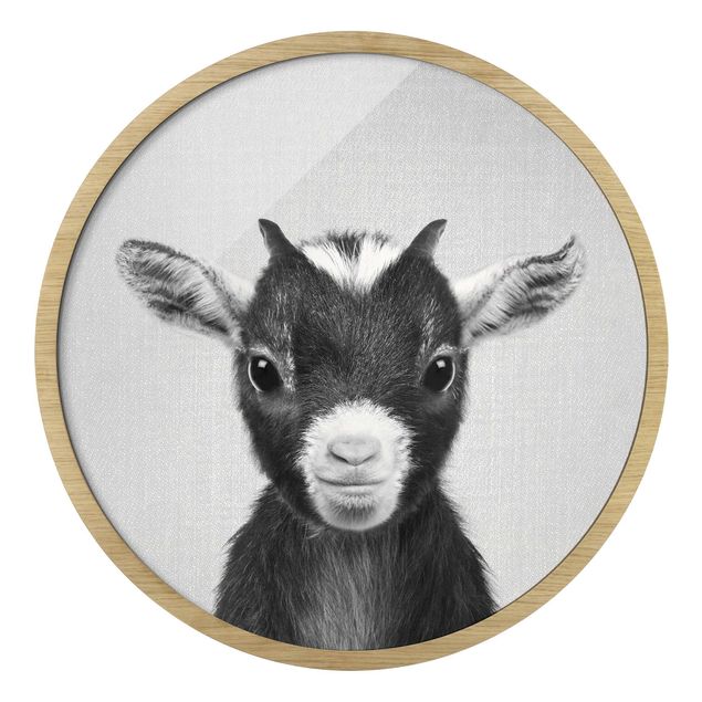 Circular framed print - Baby Goat Zelda Black And White