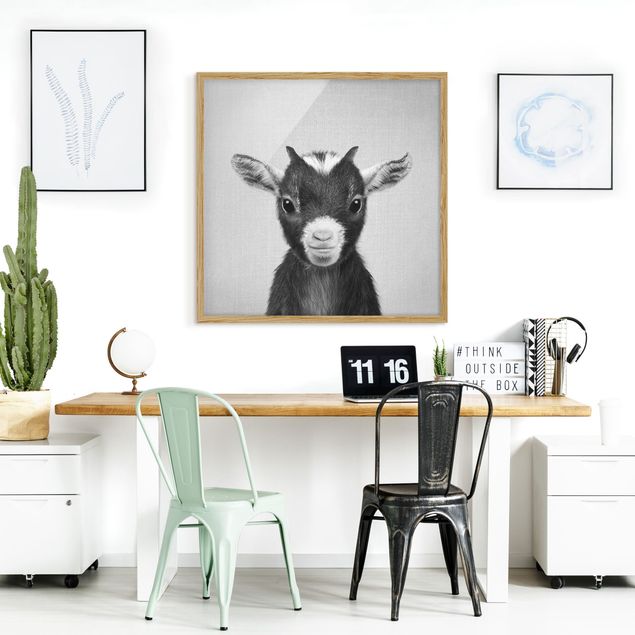 Framed poster - Baby Goat Zelda Black And White