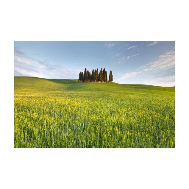 Nature rugs Green Field In Tuscany