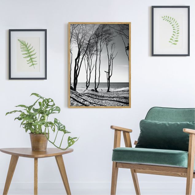 Framed poster - Trees At the Baltic Sea