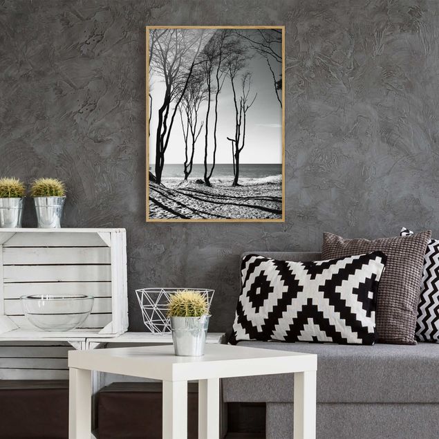 Framed poster - Trees At the Baltic Sea