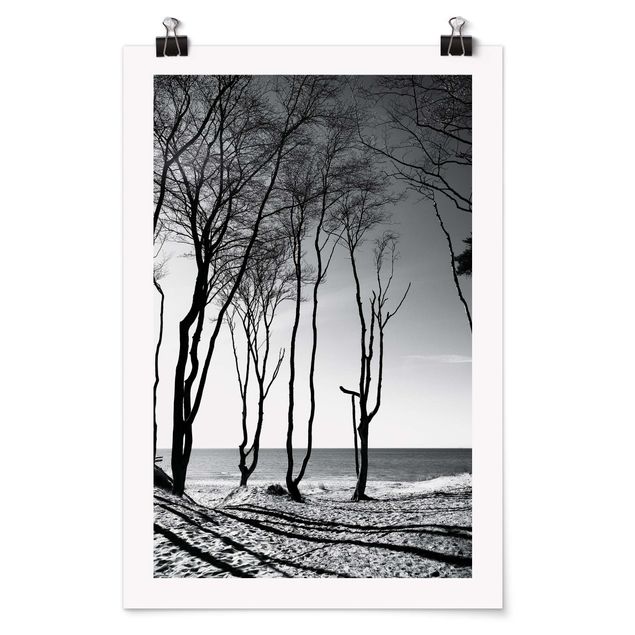 Poster - Trees At the Baltic Sea