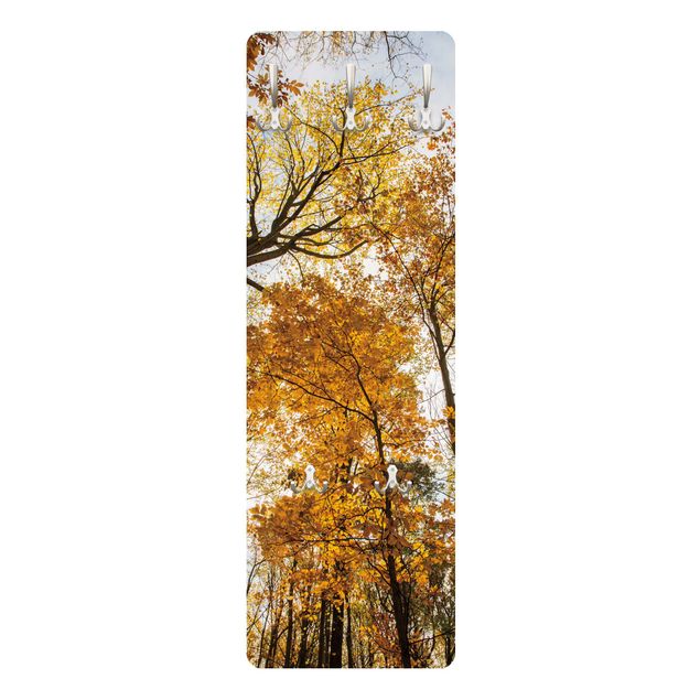 Coat rack modern - Trees in autumnal colouring