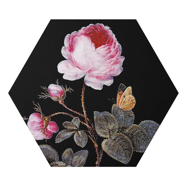 Alu-Dibond hexagon - Barbara Regina Dietzsch - The Hundred-Petalled Rose