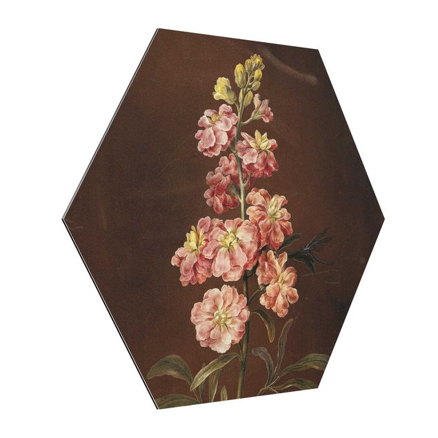 Alu-Dibond hexagon - Barbara Regina Dietzsch - A Light Pink Gillyflower
