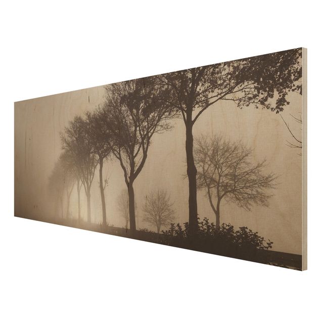 Wood print - Tree Avanue In Morning Mist