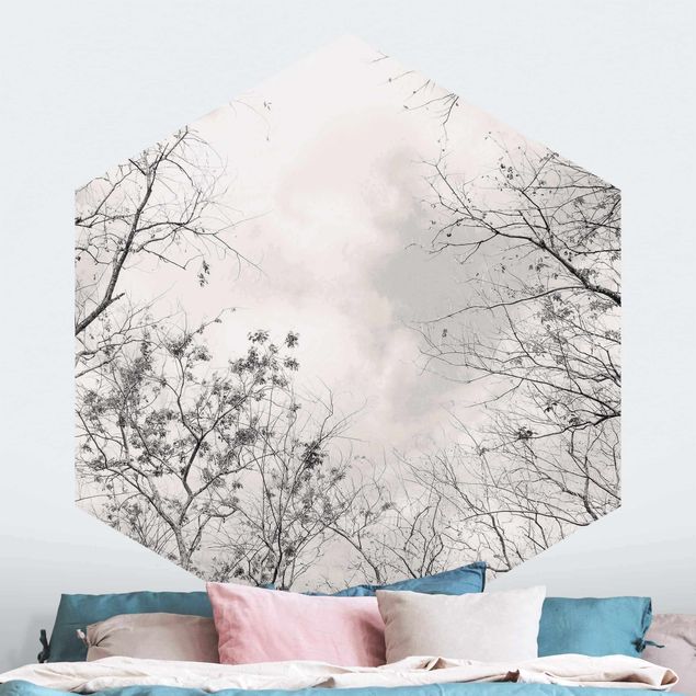 Self-adhesive hexagonal wall mural Treetops In The Sky In Warm Grey