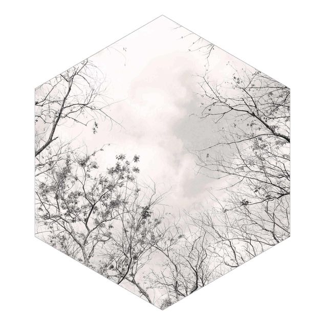 Self-adhesive hexagonal wall mural - Treetops In The Sky In Warm Grey