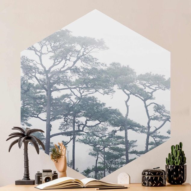 Wallpapers Treetops In Fog