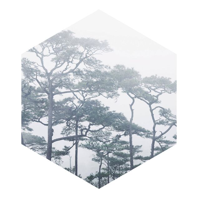 Self-adhesive hexagonal pattern wallpaper - Treetops In Fog