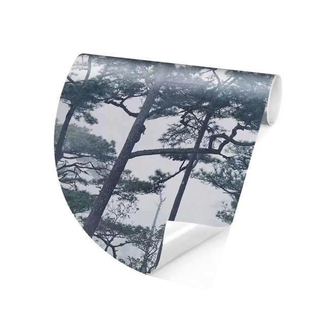Self-adhesive round wallpaper forest - Treetops In Fog
