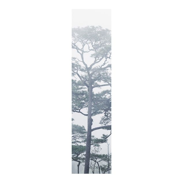 Sliding panel curtains set - Treetops In Fog