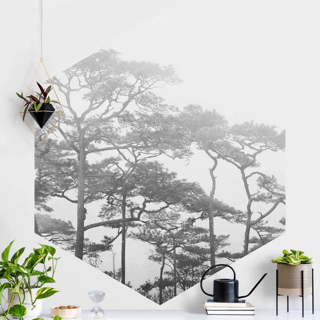 Hexagonal wallpapers Treetops In Fog Black And White