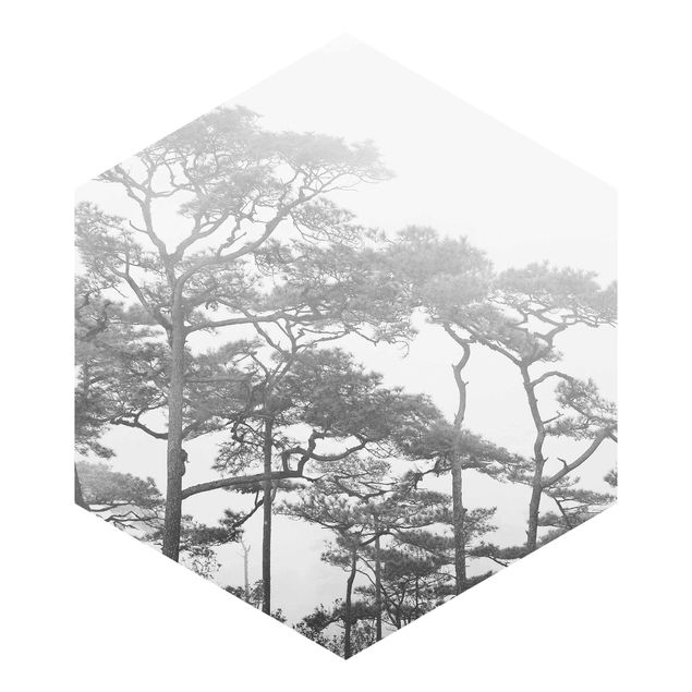 Self-adhesive hexagonal pattern wallpaper - Treetops In Fog Black And White