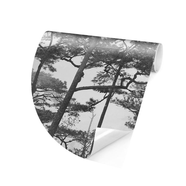 Self-adhesive round wallpaper - Treetops In Fog Black And White