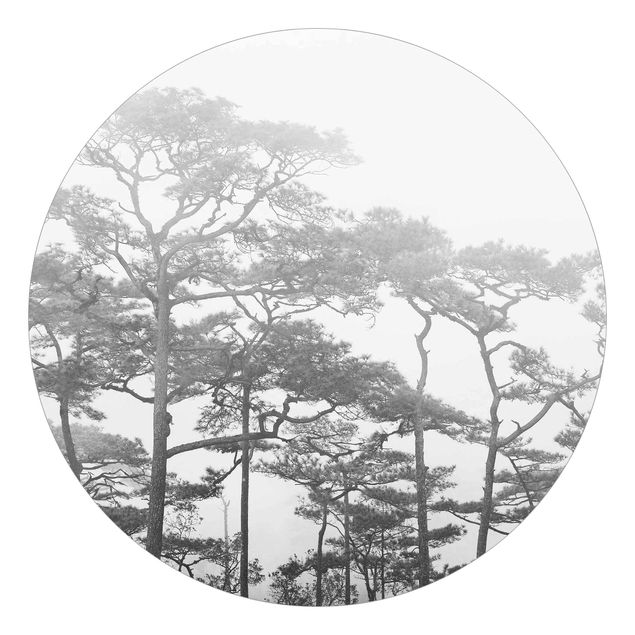 Self-adhesive round wallpaper - Treetops In Fog Black And White