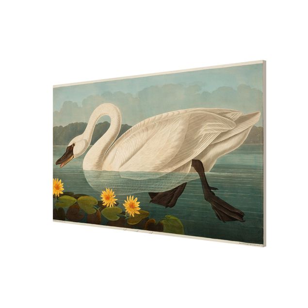 Magnetic memo board - Vintage Board American Swan