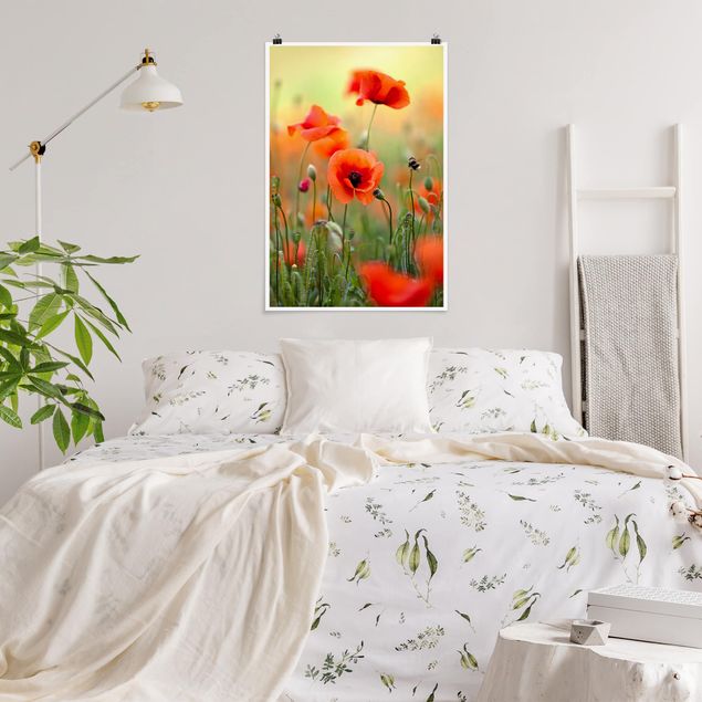 Poster flowers - Red Summer Poppy