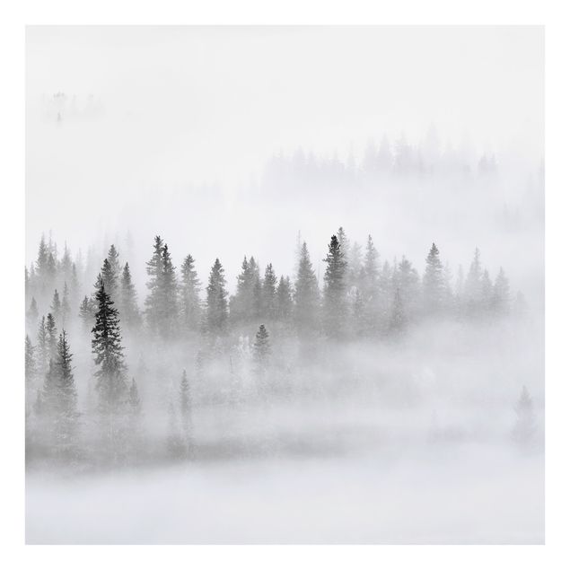 Splashback - Fog In The Fir Forest Black And White - Square 1:1