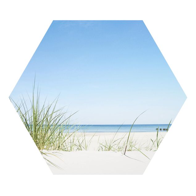 Forex hexagon - Baltic Sea Coast