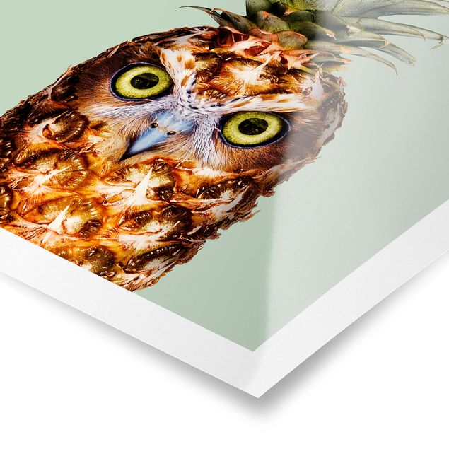 Poster animals - Pineapple With Owl