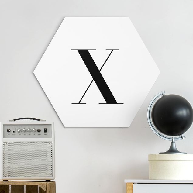 Alu-Dibond hexagon - Letter Serif White X
