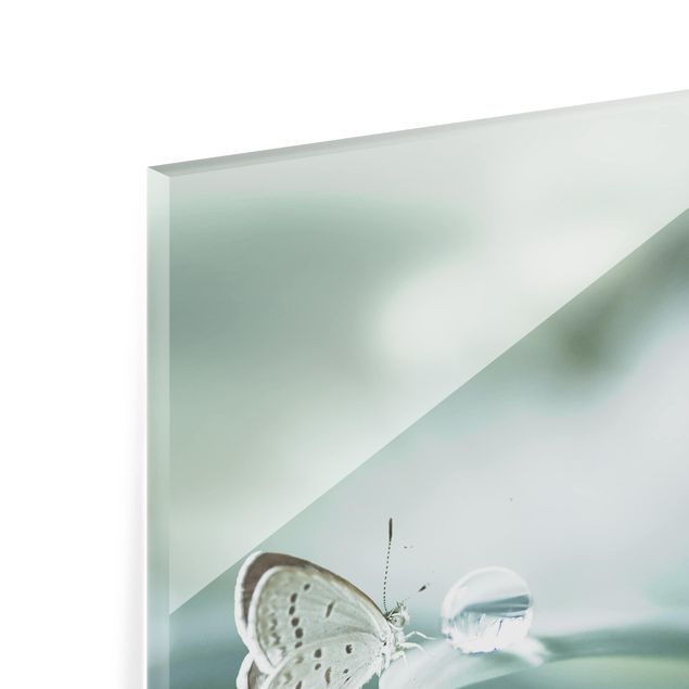 Glass Splashback - Butterfly And Dew Drops In Pastel Green - Square 1:1