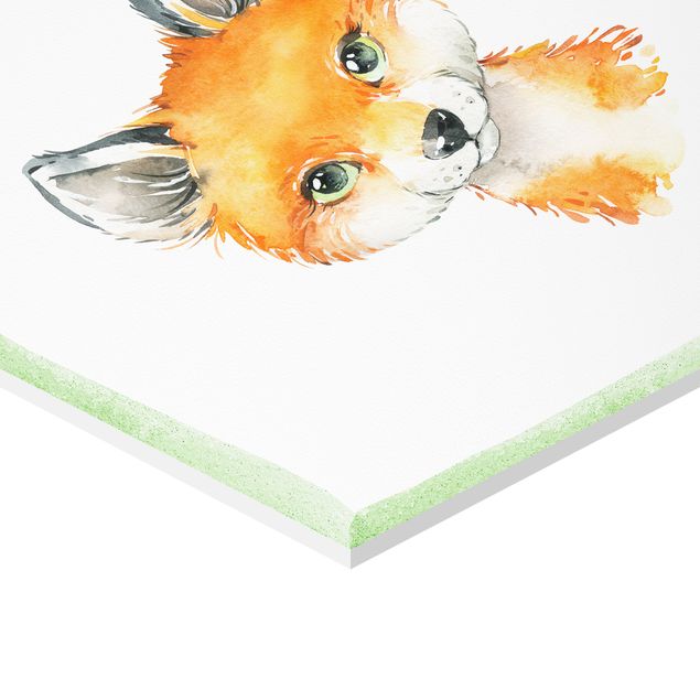 Forex hexagon - Watercolour Forest Animals With Desired Name