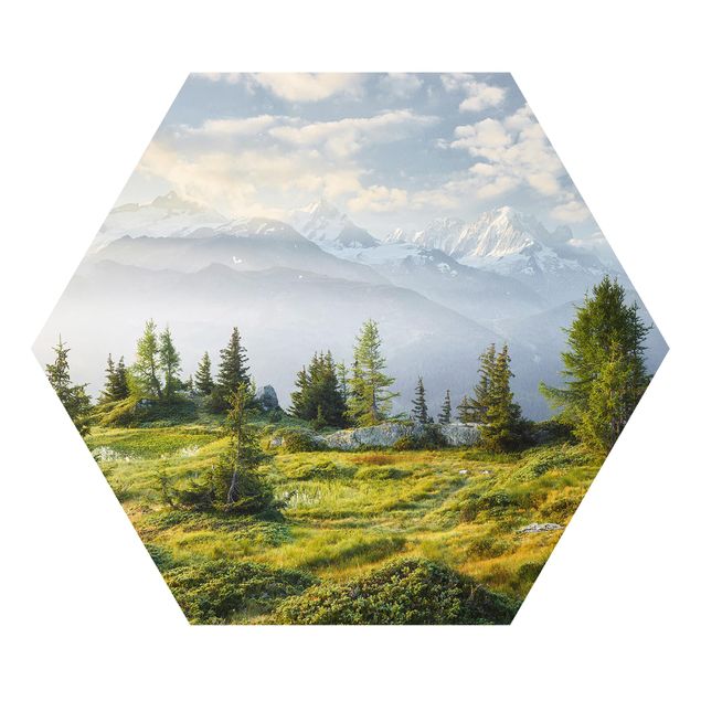 Forex hexagon - Émosson Wallis Switzerland