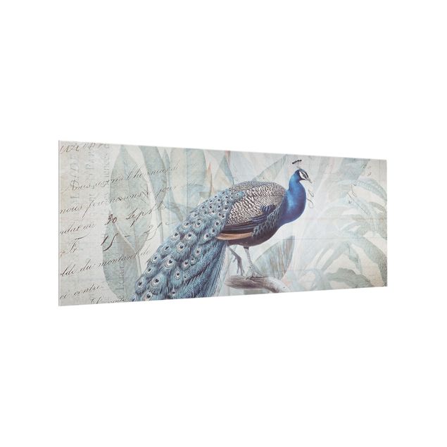 Glass splashback animals Shabby Chic Collage - Peacock