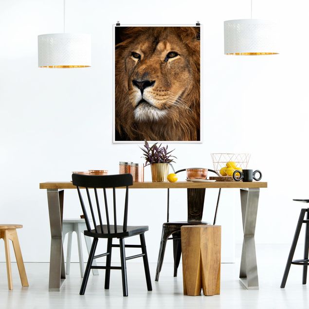 Poster animals - Lion's Gaze