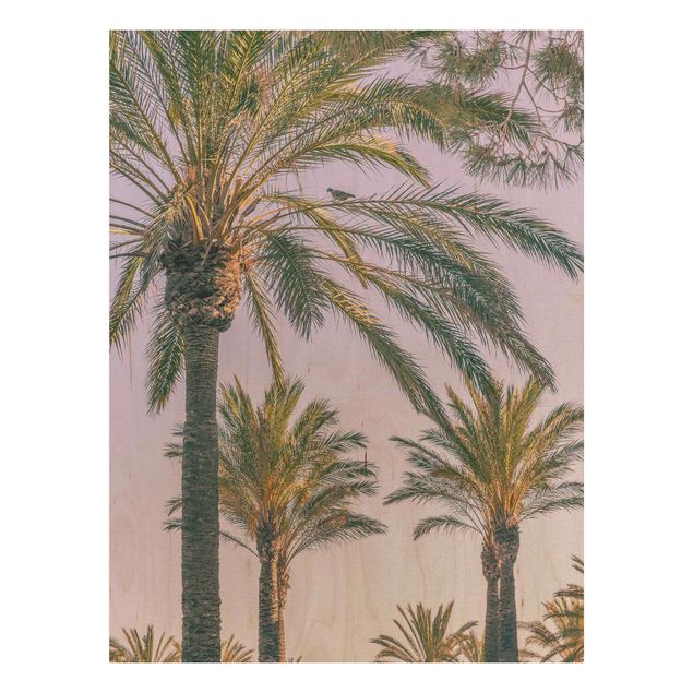 Print on wood - Palm Trees At Sunset