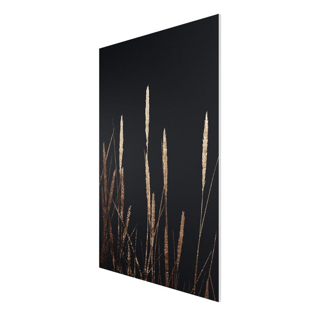 Print on forex - Graphical Plant World - Golden Reed
