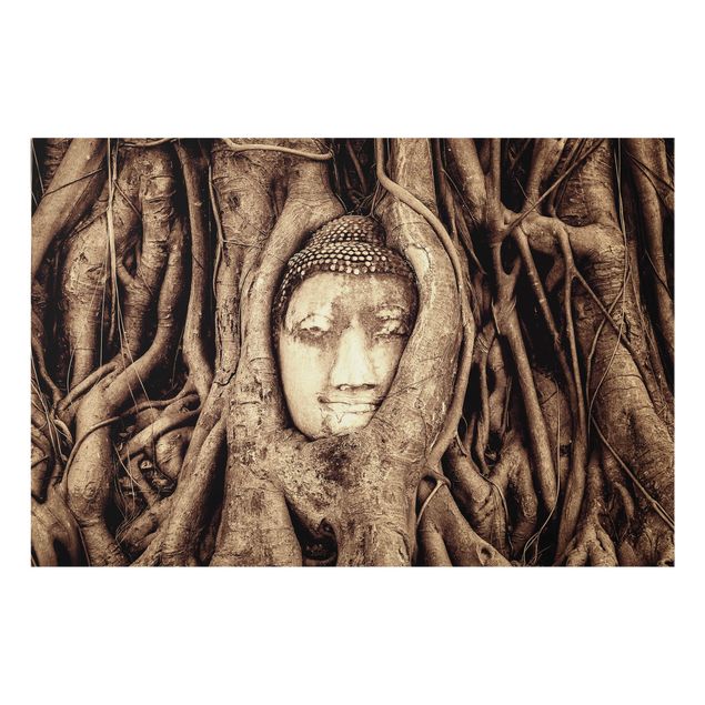 Splashback - Buddha In Ayutthaya Lined From Tree Roots In Brown