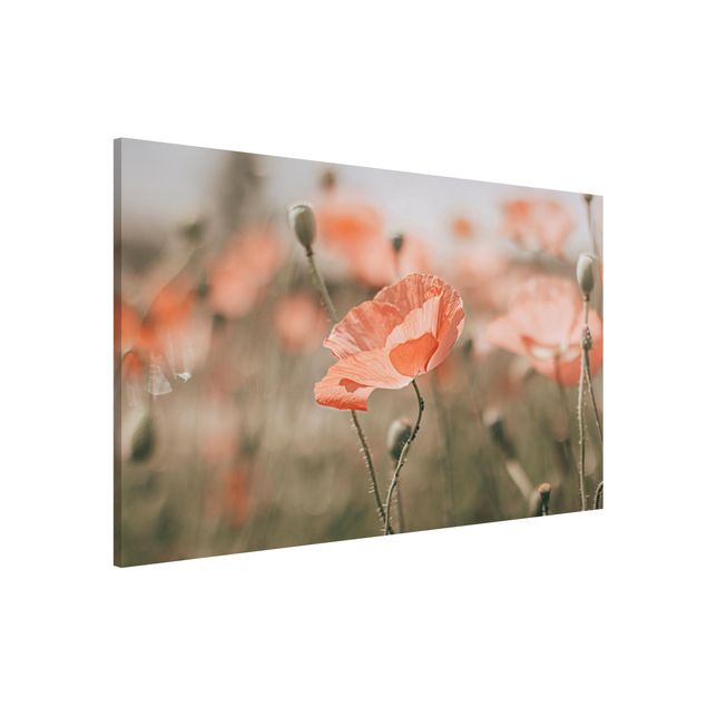 Magnetic memo board - Sun-Kissed Poppy Fields
