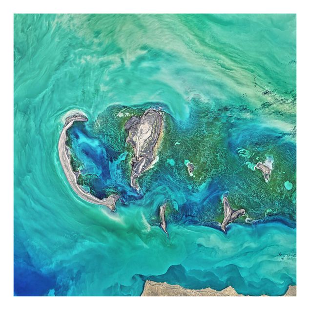 Splashback - NASA Picture Caspian Sea - Square 1:1
