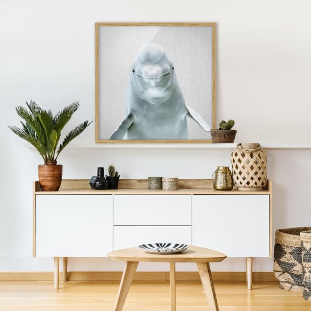 Framed poster - Beluga Whale Bob