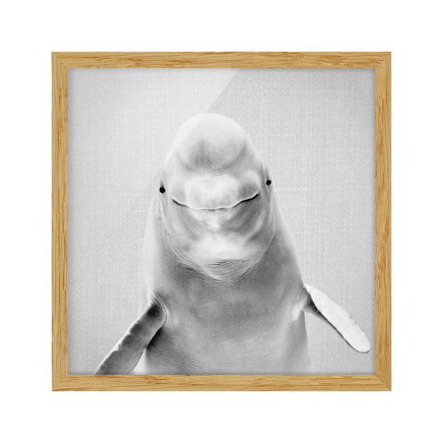 Framed poster - Beluga Whale Bob Black And White