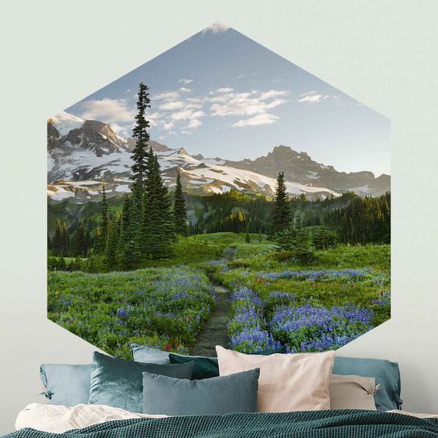 Wallpapers Mountain View Meadow Path