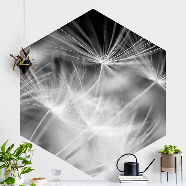 Self-adhesive hexagonal wall mural Moving Dandelions Close Up On Black Background