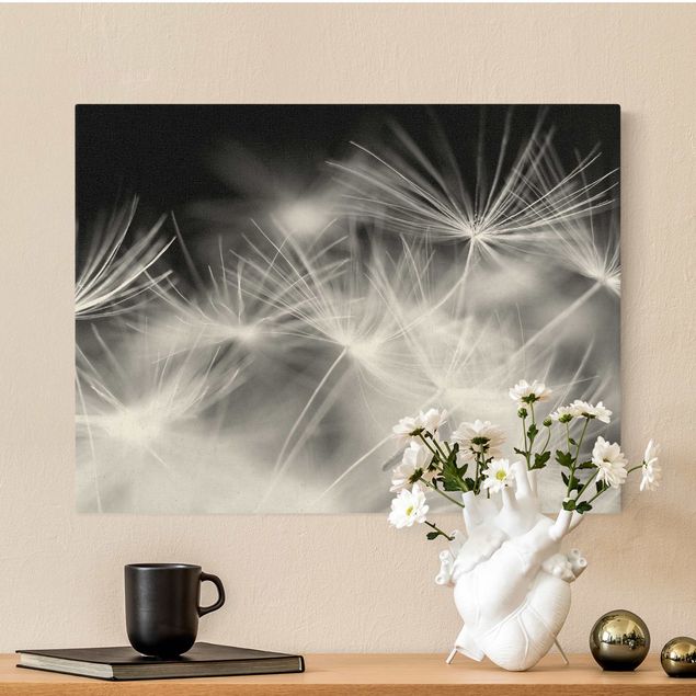 Natural canvas print - Moving Dandelions Close Up On Black Background - Landscape format 4:3