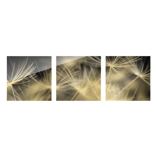 Glass print - Moving Dandelions Close Up On Black Background - 3 parts