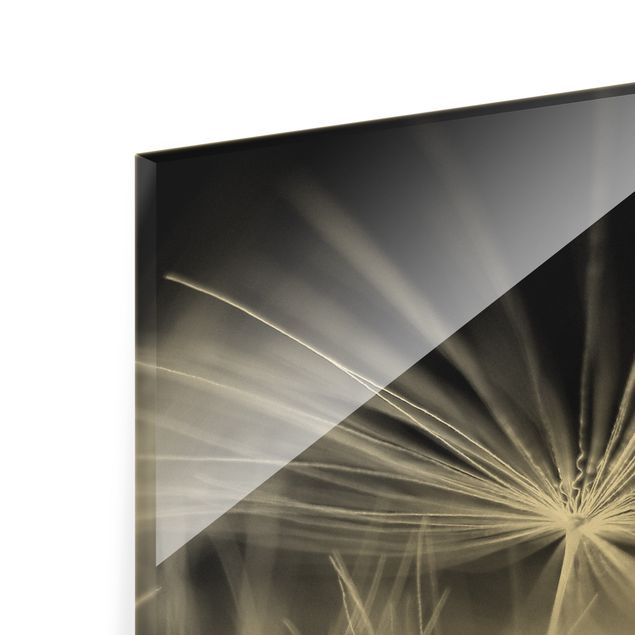 Glass print - Moving Dandelions Close Up On Black Background - Portrait format