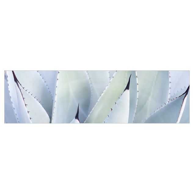 Kitchen wall cladding - Agave